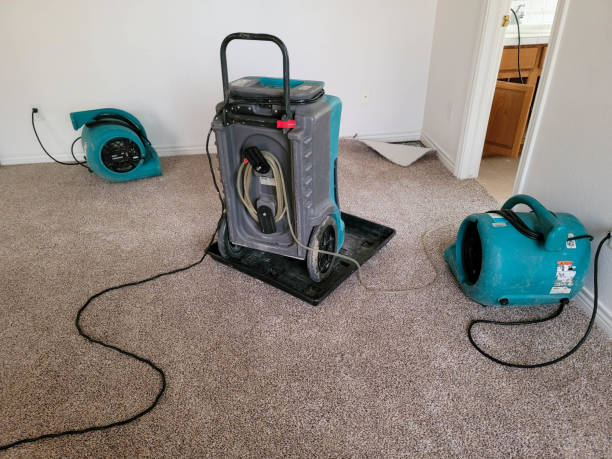Best Carpet water damage restoration  in Goodlettsville, TN